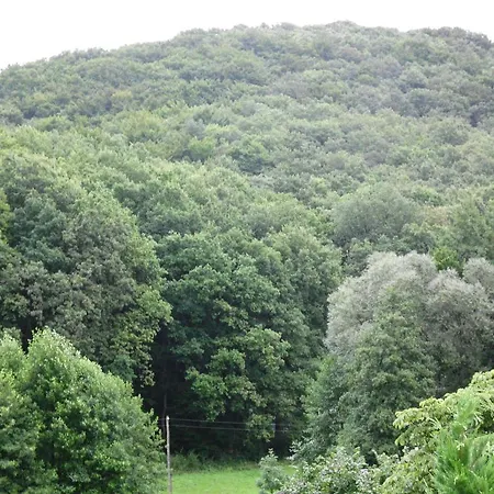 Guest house Waldblick 3*