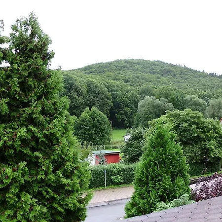 Guest house Waldblick 3*