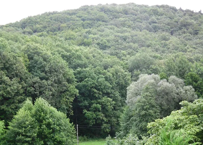 Gæstehus Waldblick 3*
